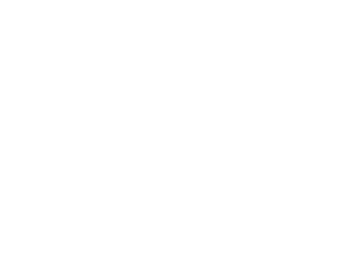 鉄板懐石　りんどう